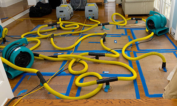 Professional Basement Flood Cleanup technician working in Lyman, MS