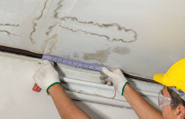 Affordable Basement Flood Cleanup solutions in Lyman, MS